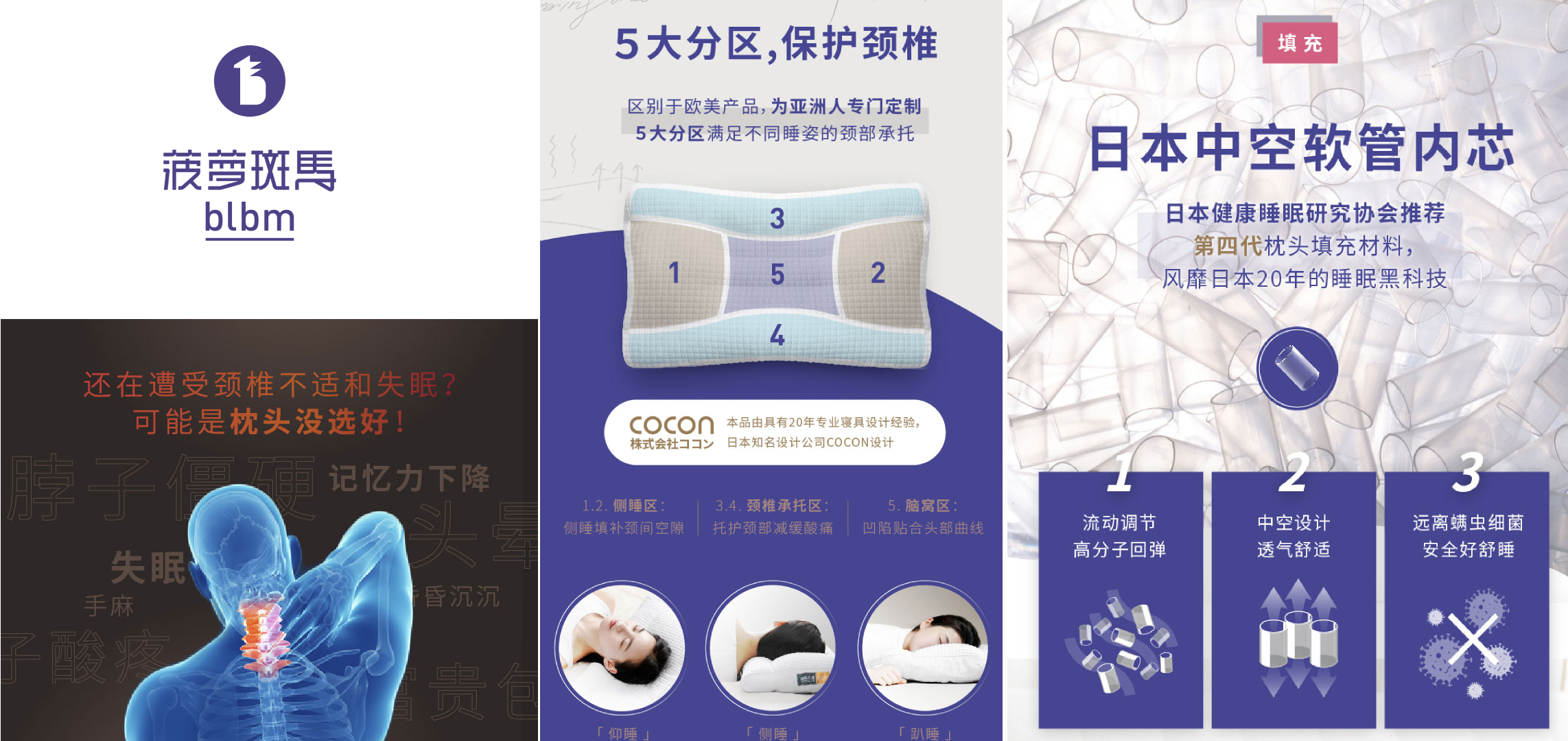 菠萝斑马-官网.jpg