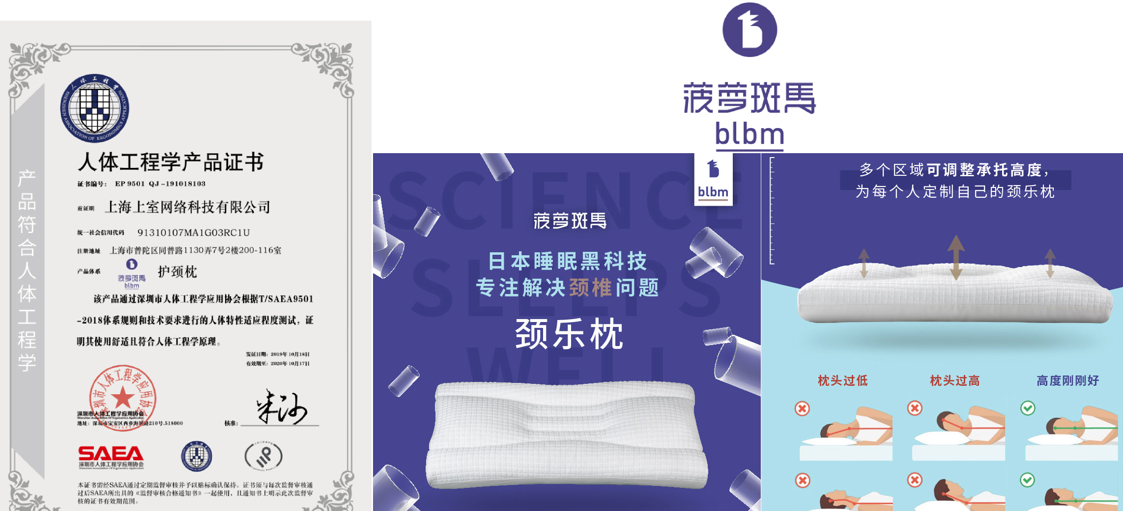菠萝斑马-官网1.jpg