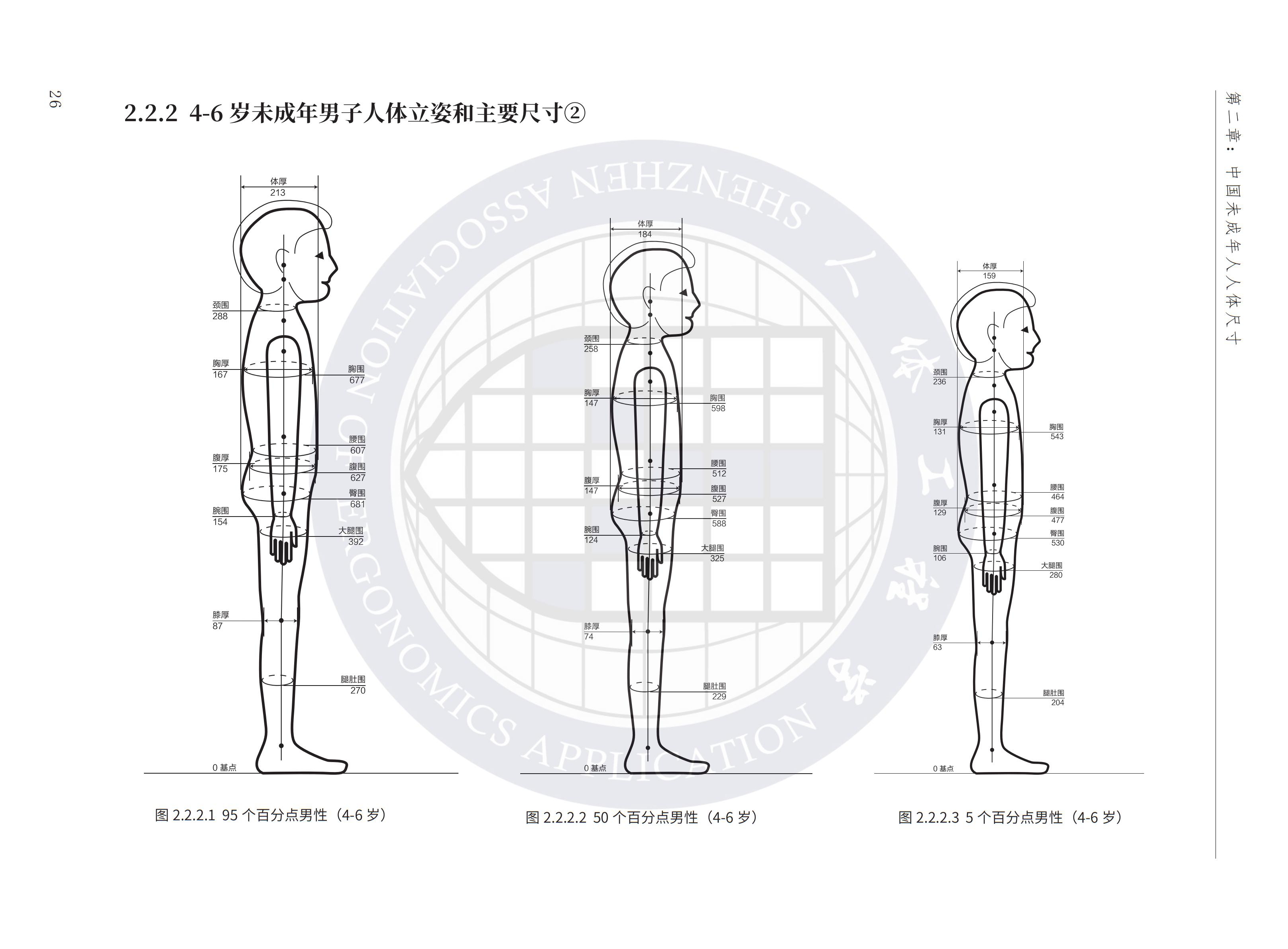 男人体系列丨肌肉吴克丨人体丨肌肉怎么画丨PS板绘_CGWANG王氏教育-站酷ZCOOL